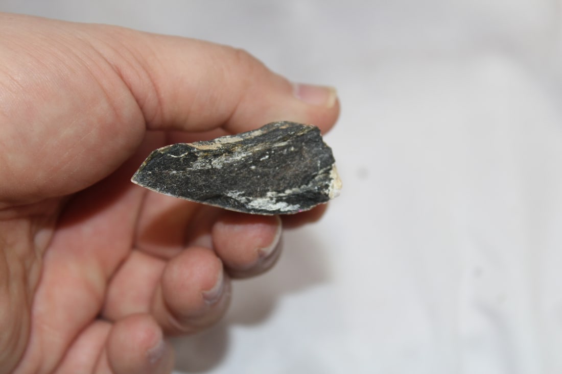 A Large Partial Megalodon Tooth - 5