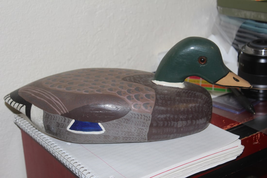 Hand Painted Glass Eye Duck Decoy: 13 inches across - signed