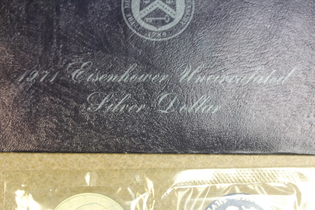 40% Silver ike dollar - 2
