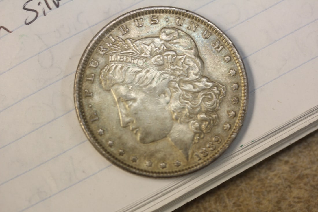 1889 Morgan Silver Dollar: some tining - nice looking coin