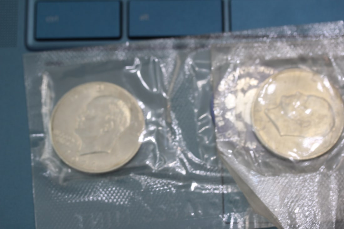 Lot of 2 40% Silver Ike Dollars: as shown