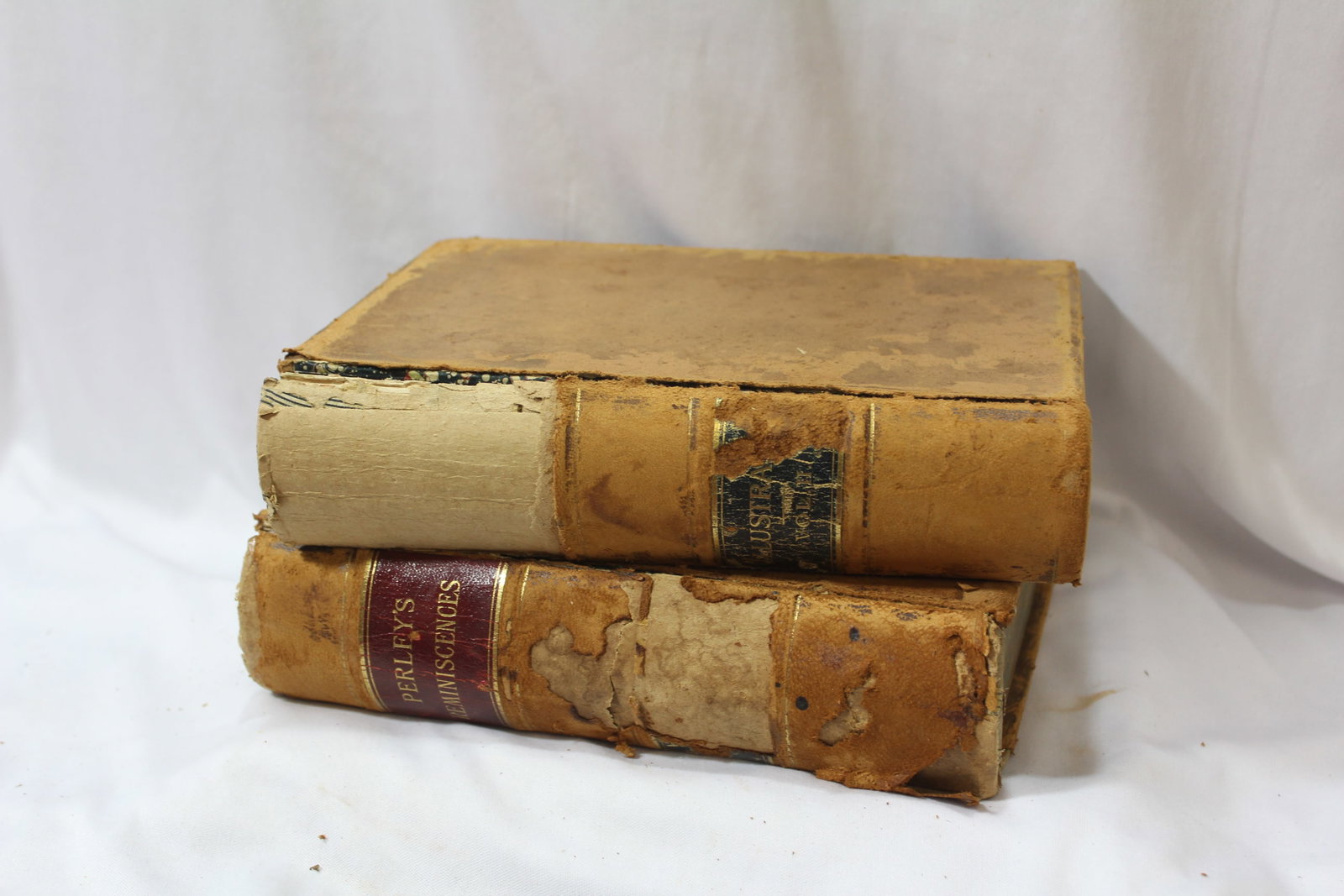Lot of Two Hardcover Books by Ben Perley Poore: from 1882 - illustrated - binding needs help - volume I and II.