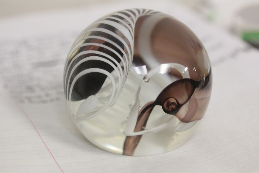 Swedish Hanne Dreutler Swirl Art Glass Paperweight: signed - 2 3/4" in diameter