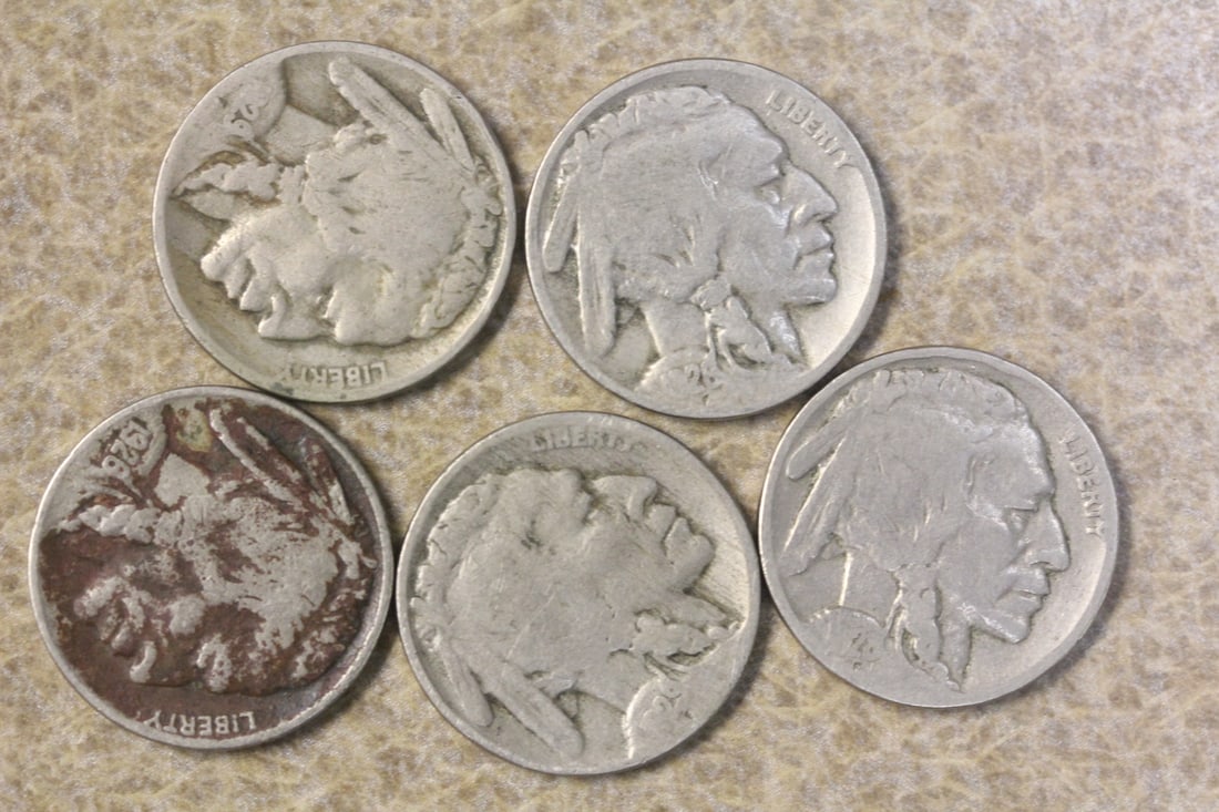 Lot of 5 Buffalo Nickels: readable date
