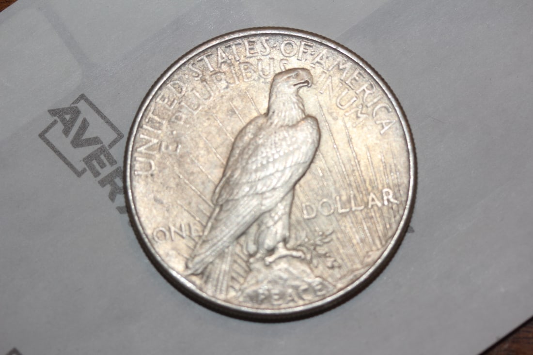 1925 Peace Silver Dollar - 3
