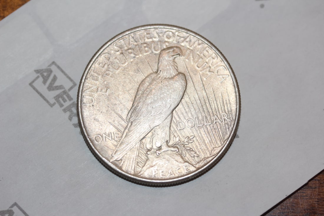 1925 Peace Silver Dollar - 4