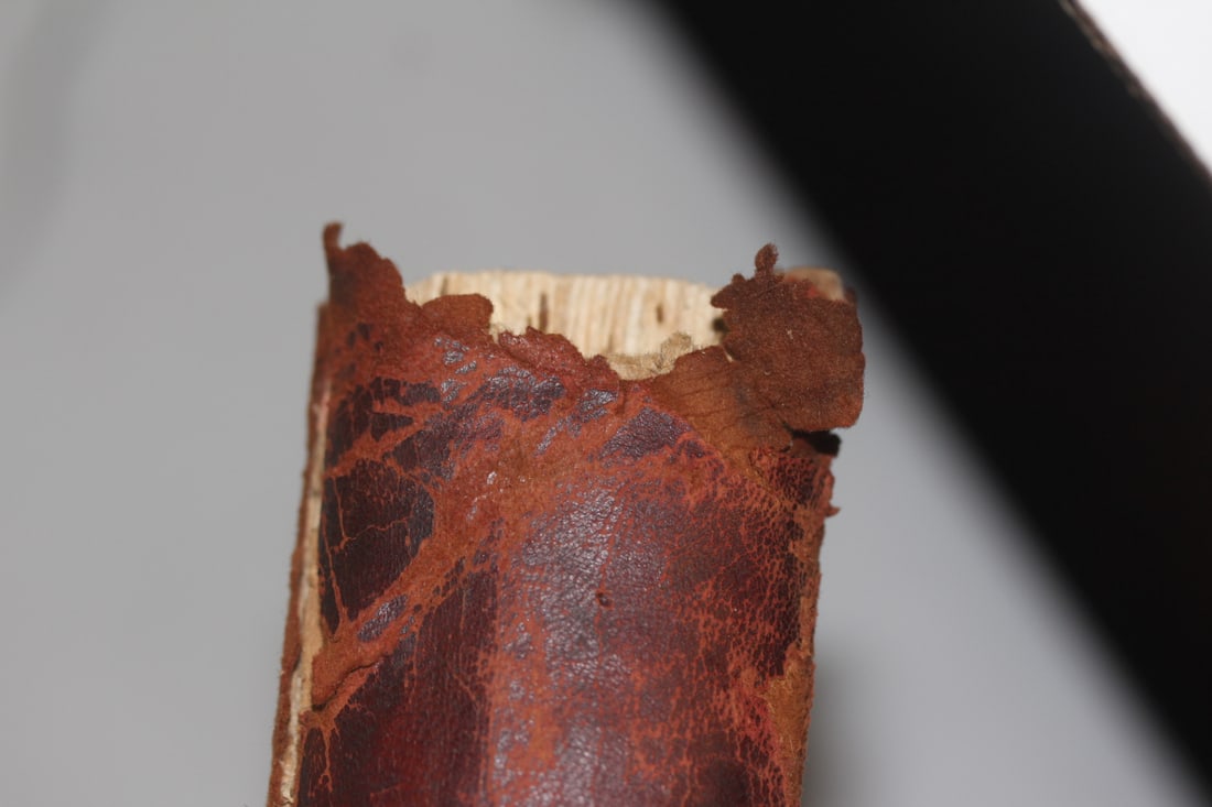 1910 French Illustration Hardcover Book - 2