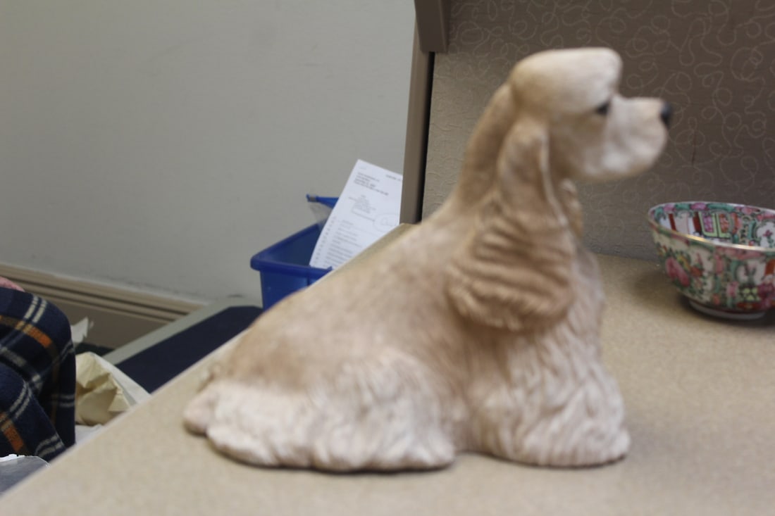 Sandicast Poodle - 4