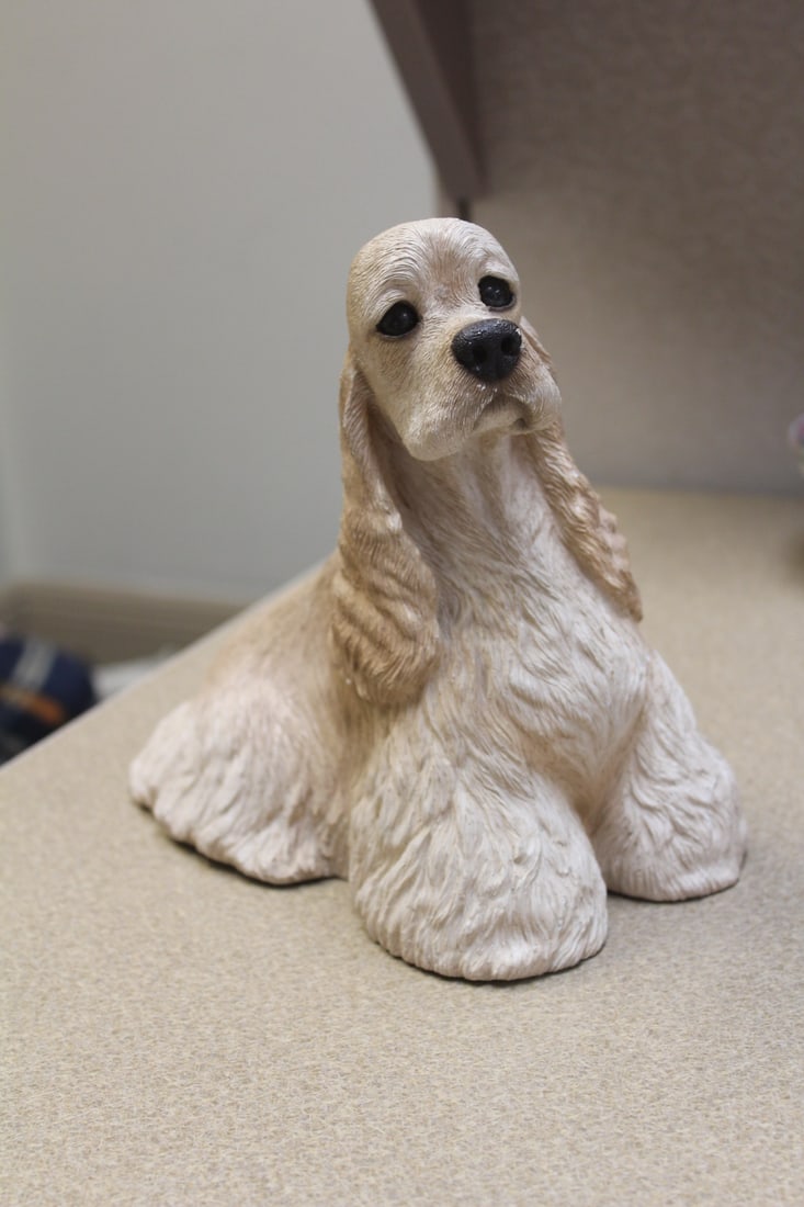 Sandicast Poodle - 5