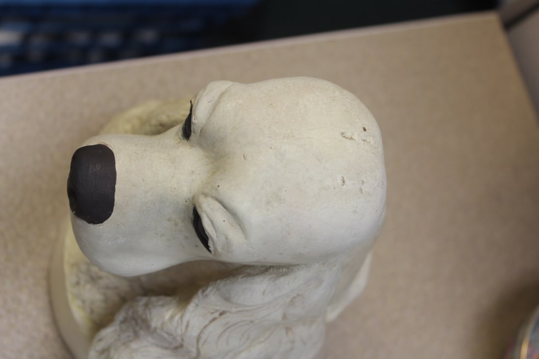 Signed Norbill Bust of a Dog Head - 5
