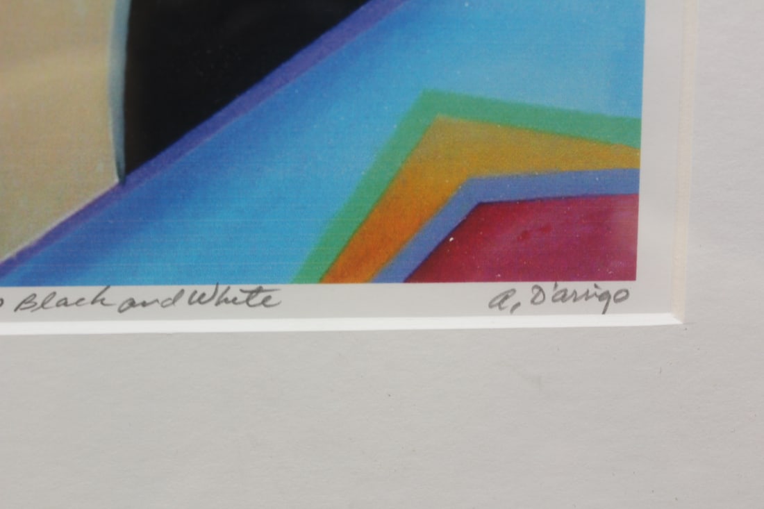 Signed Anthony D'Arrigo Lithograph - 6