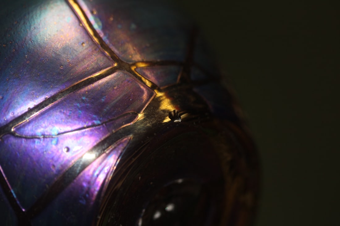Spider Web Design Iridescent Vase - 8