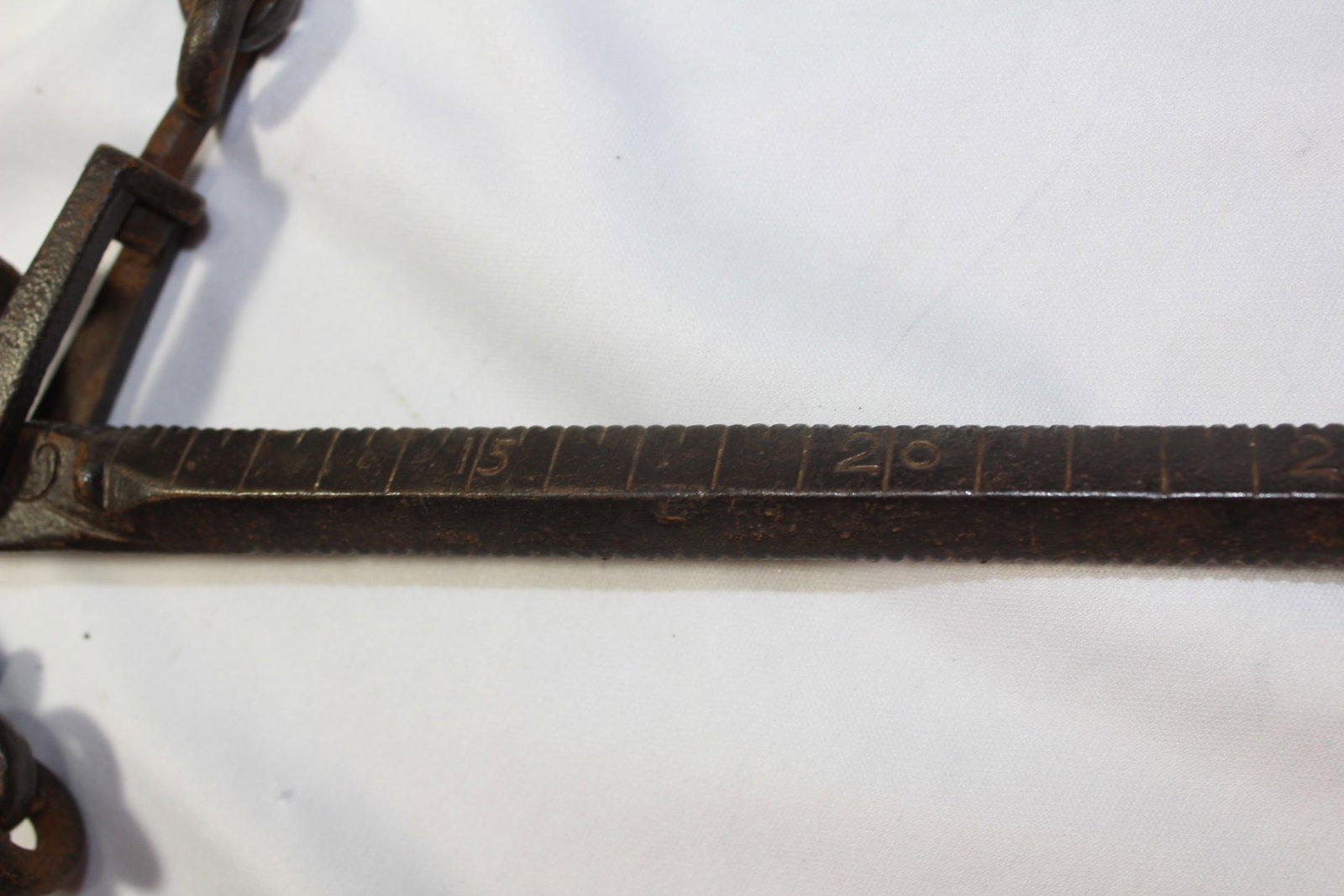 A Tree Measuring Stick? - 5