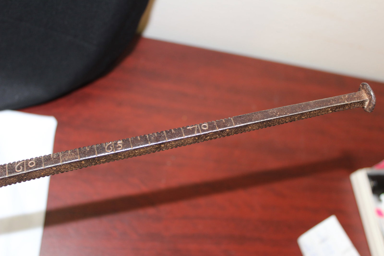 A Tree Measuring Stick? - 6