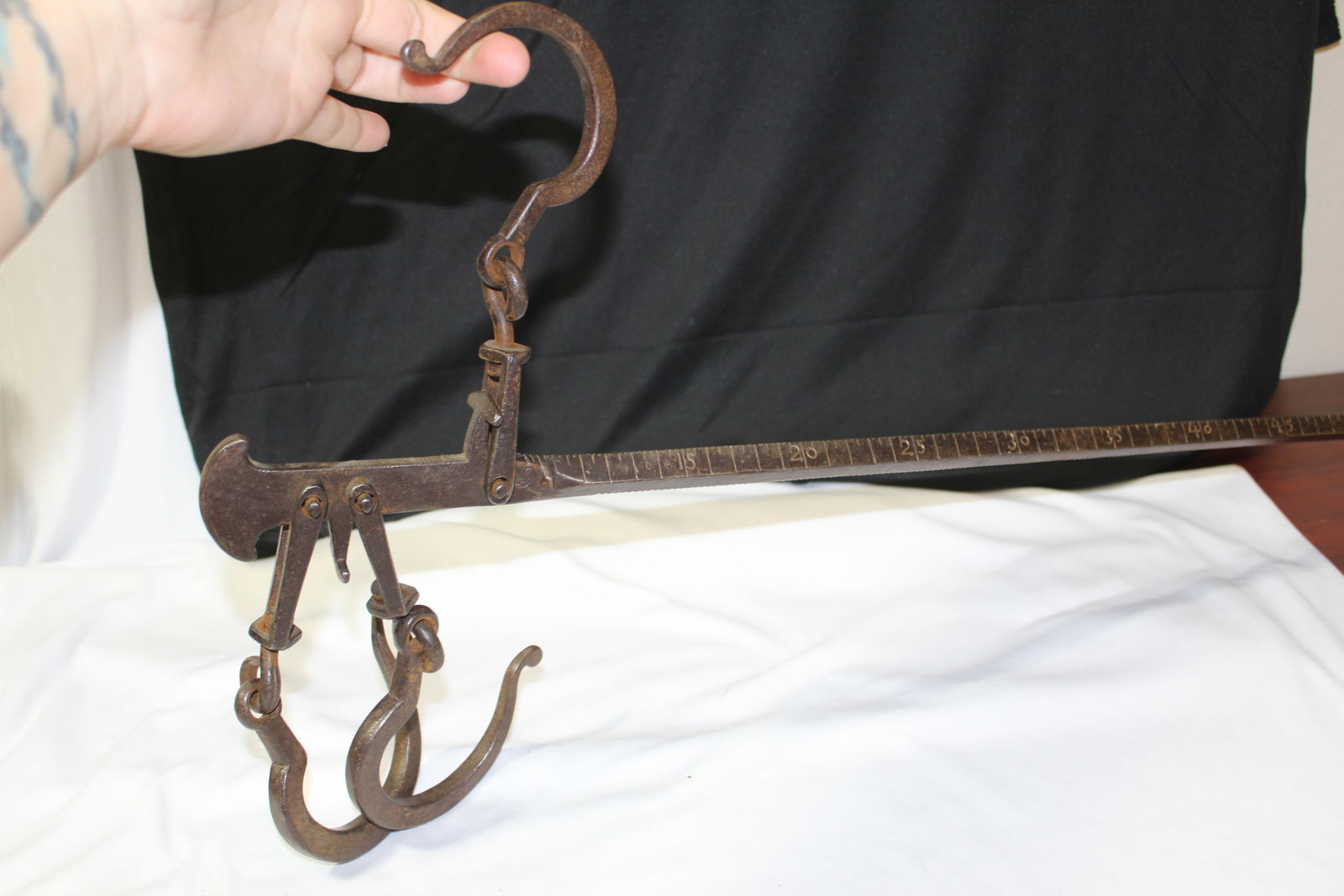 A Tree Measuring Stick? - 7