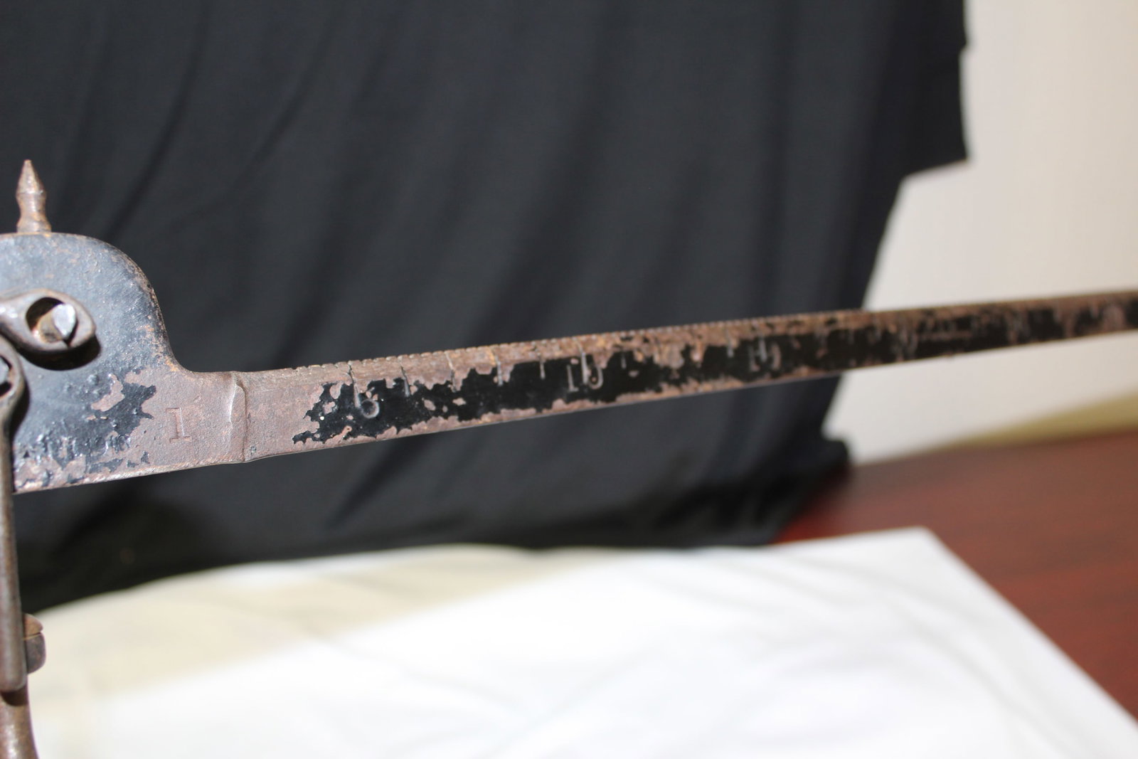 A Tree Measuring Stick? - 4