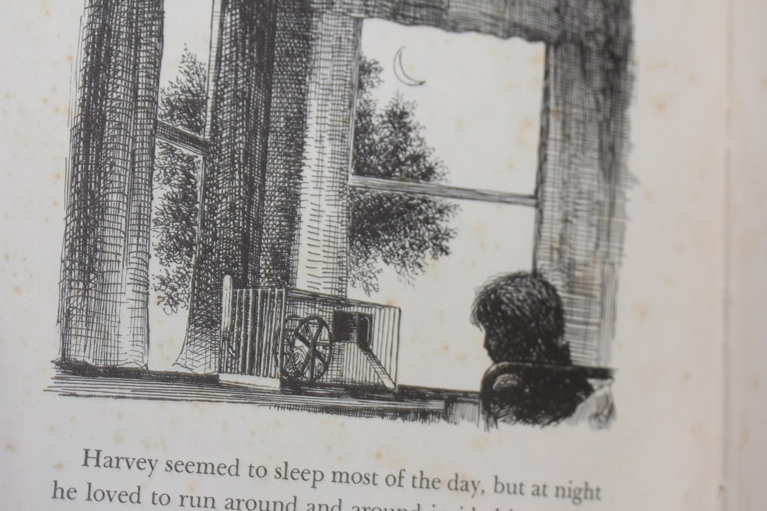 1950's Hardcover Children's Book - 3