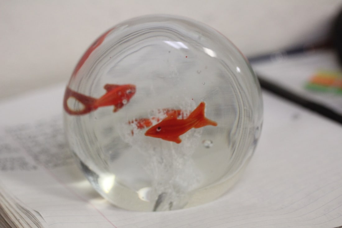 Fish Art Glass Paperweight: 3 3/4" across