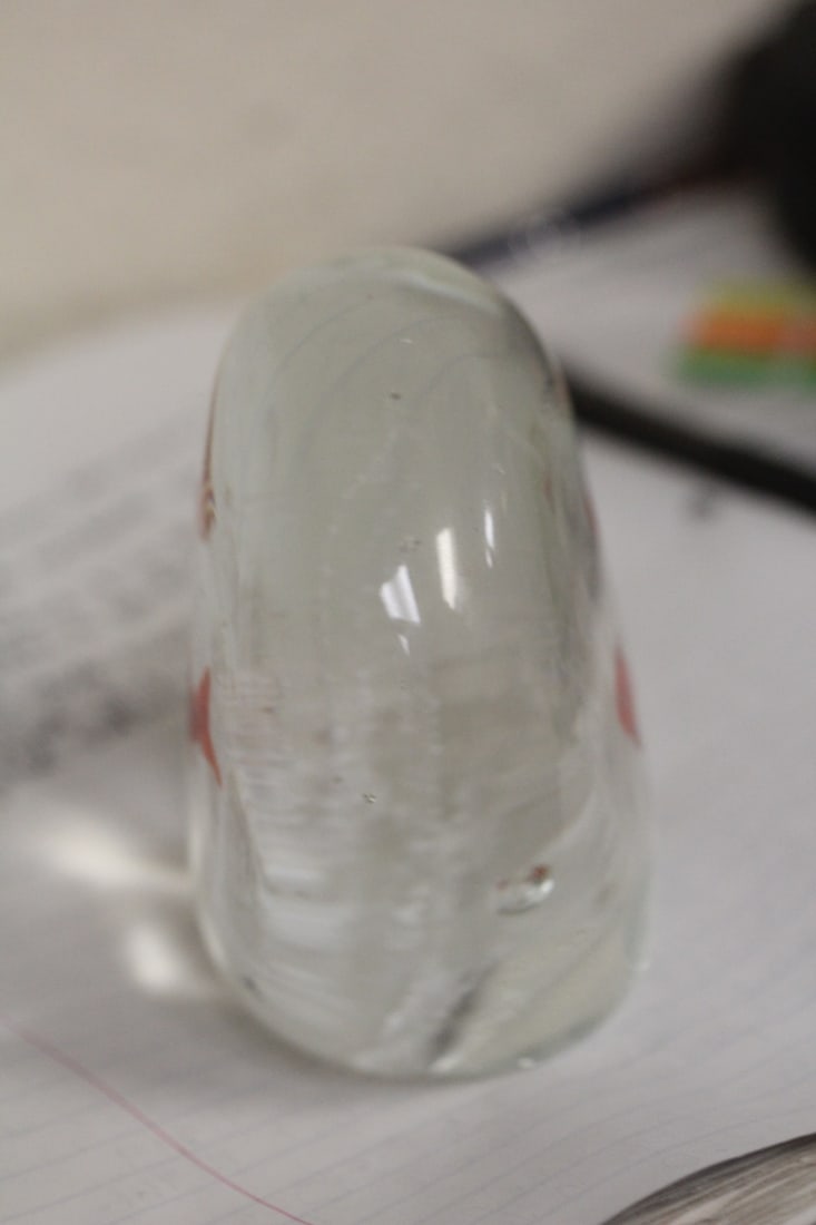 Fish Art Glass Paperweight - 3