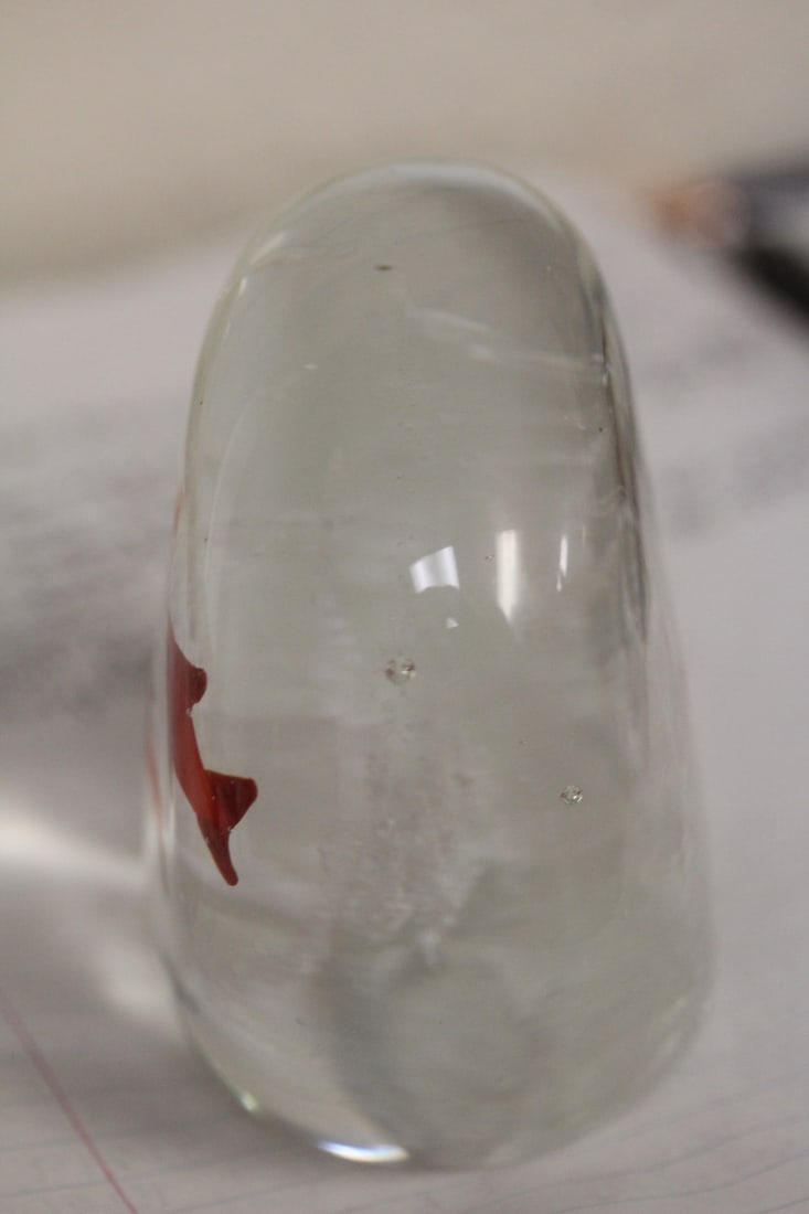 Fish Art Glass Paperweight - 4