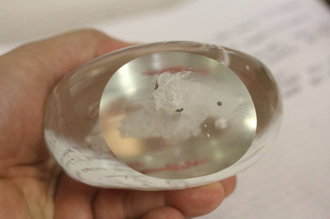 Fish Art Glass Paperweight - 5