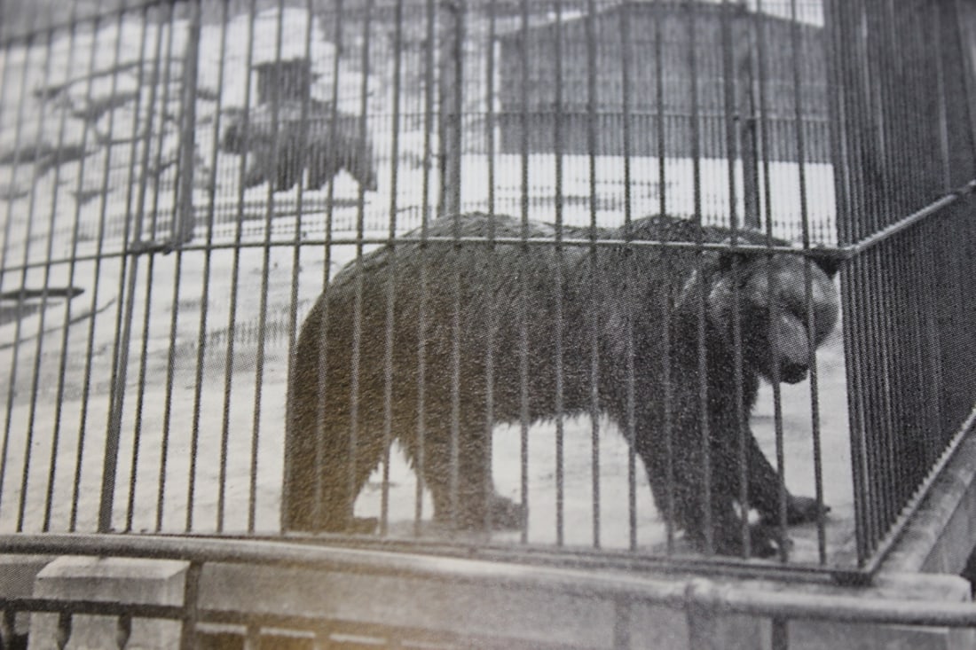 Hardcover Book - Zoo - First Edition - 8