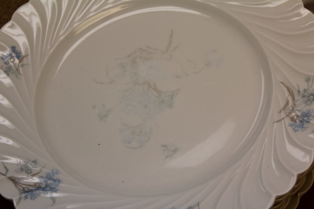 Set of 7 Limoges Bergere Dinner Plates - 2