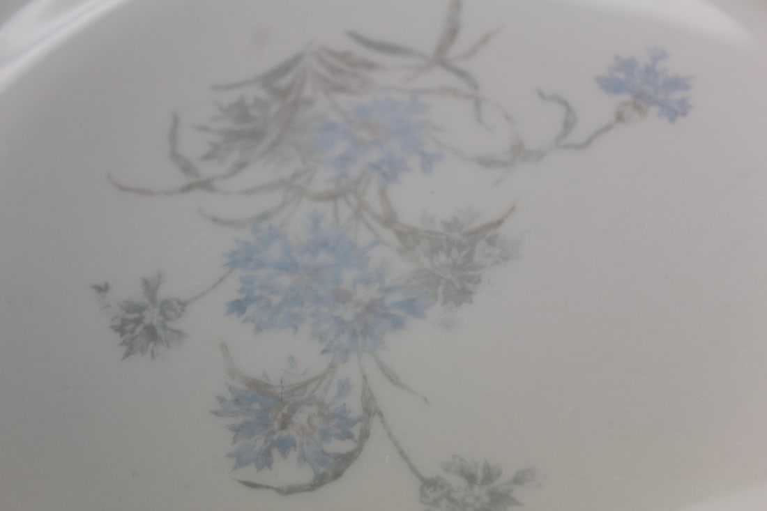 Set of 7 Limoges Bergere Dinner Plates - 3