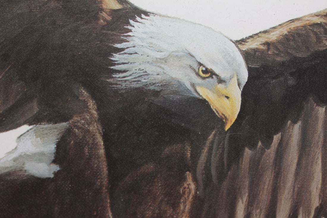 Signed Lithograph of Bald Eagle - 3