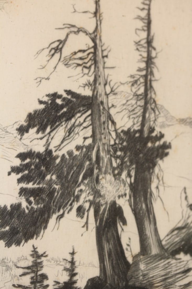 Framed Etching Timberline by Lyman Byxbe - 4