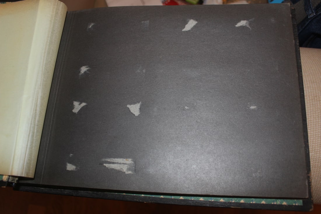 Vintage Mother of Pearl Photo Album - 2