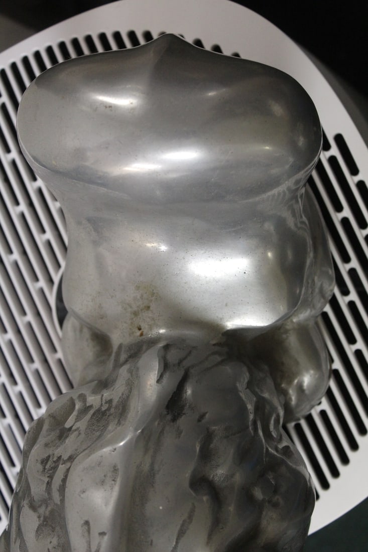 Signed David Parkin Aluminum Lion - 4