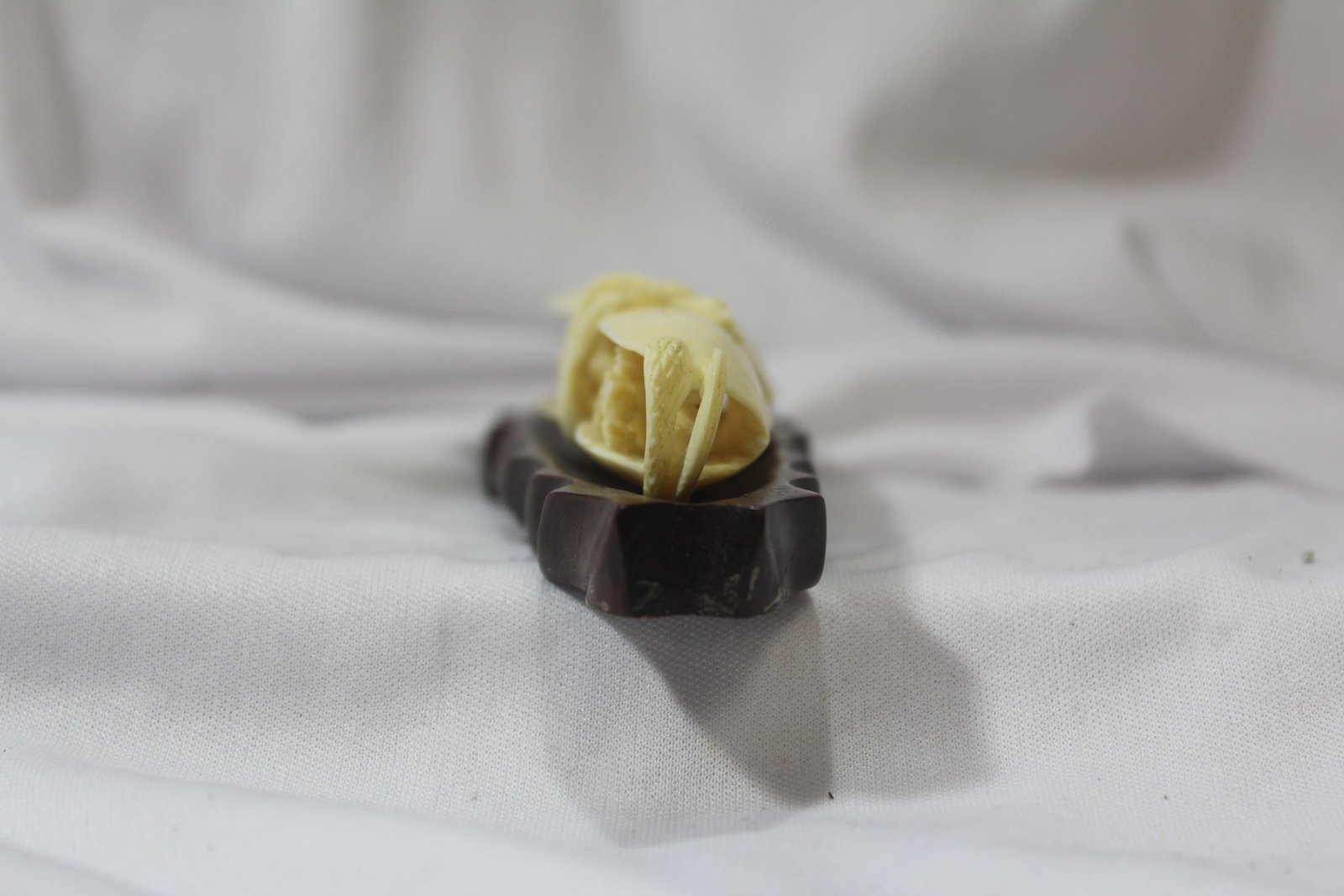 A Well Carved Bone Clam Shell - 4