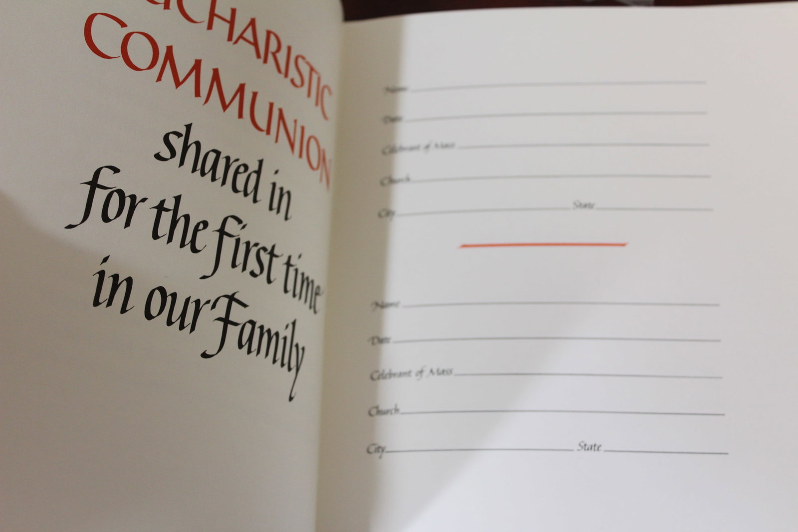 Our Family Book of Life - Hardcover Book - 4
