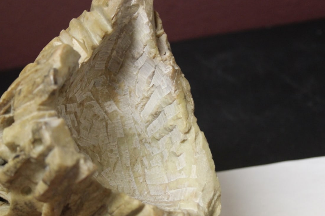 A Chinese Soap Stone Carving - 12