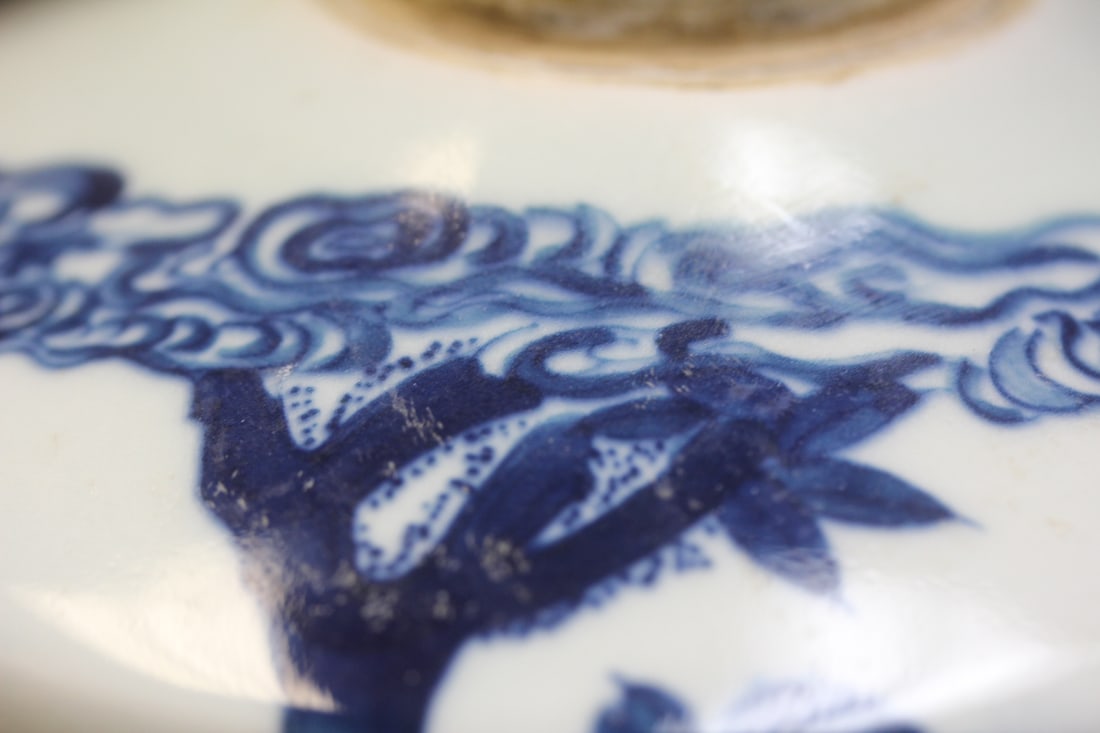 Chinese Blue and White Porcelain Bottle - 4