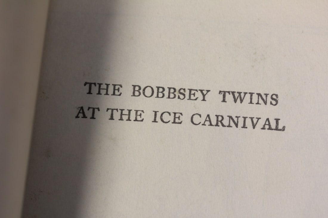 Hardcover Book: The Bobsey Twins at the Carnival - 3