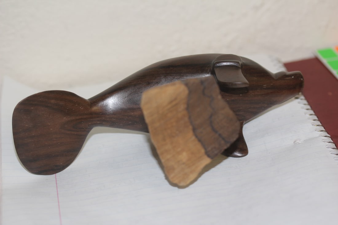Exotic Wood Manatee - 4
