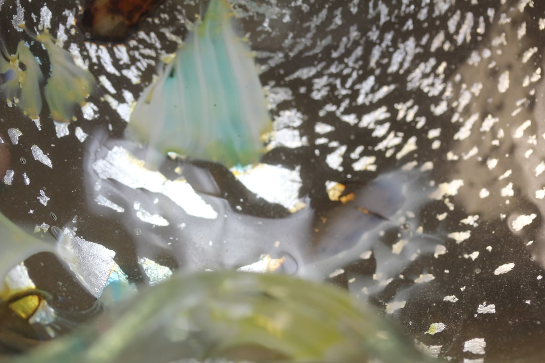 Art Glass Bowl - 2