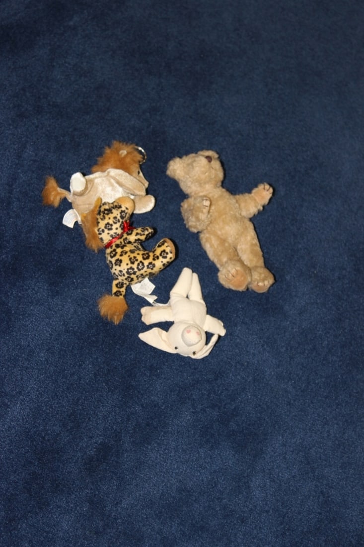 Lot of 7 Disney Stuffed Animals plus 4 Other - 2