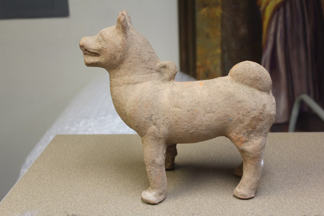 Terracota Figure of a Dog - 3