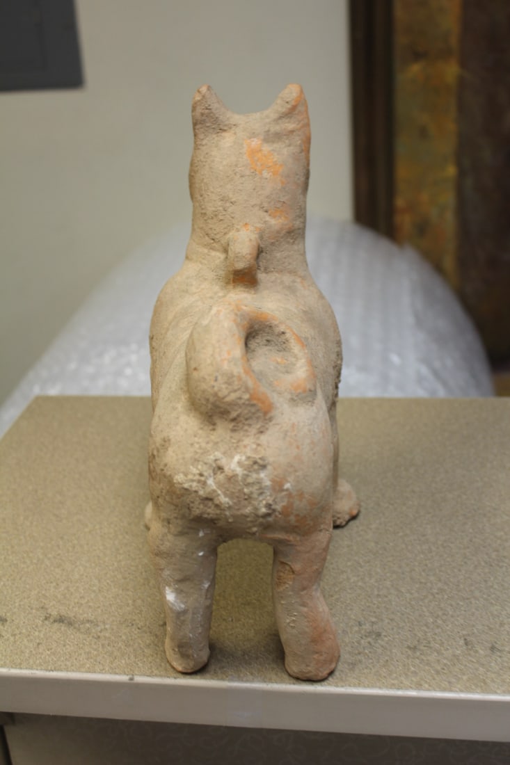 Terracota Figure of a Dog - 4