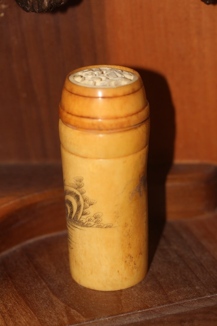 Chinese Carved Bone Cricket Cage - 2
