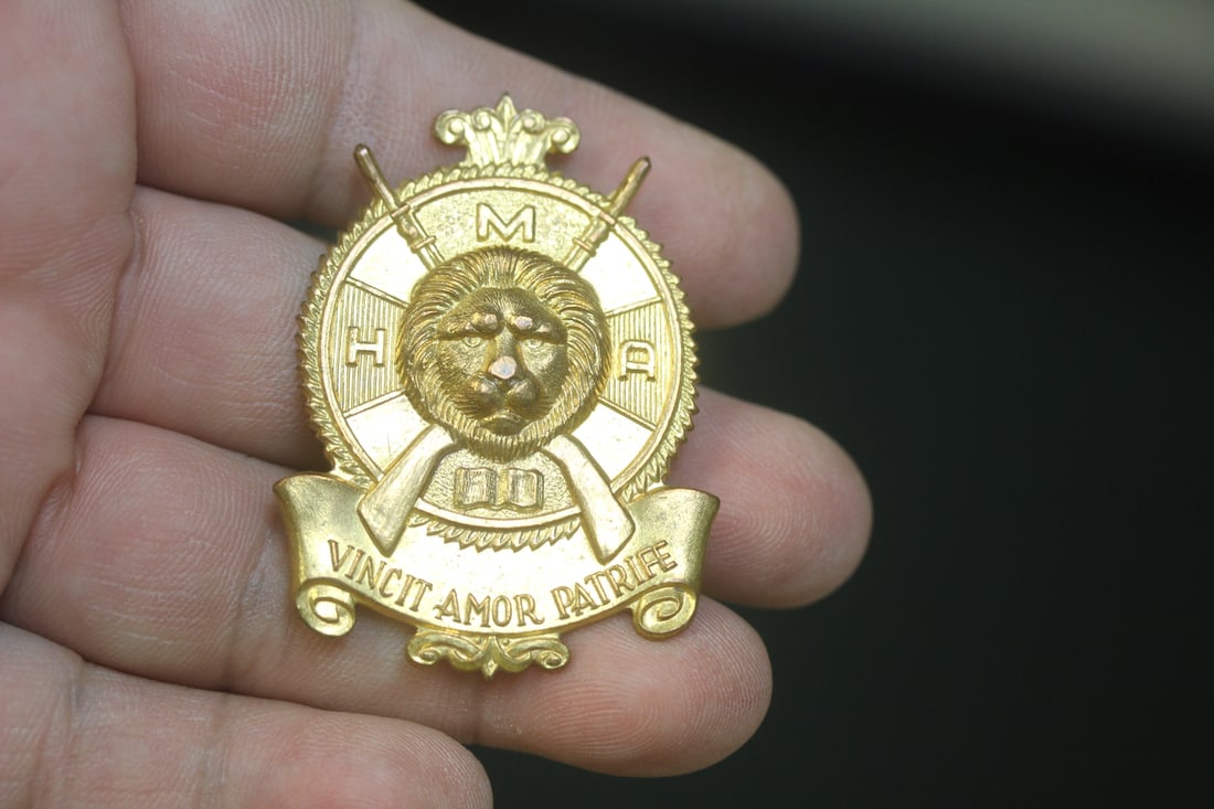 Rare Vincit Amor Patriae Cap Badge - 2