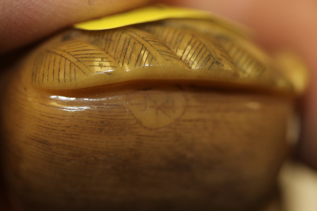 A Finely Carved Japanese Tagua Nut Netsuke - 7