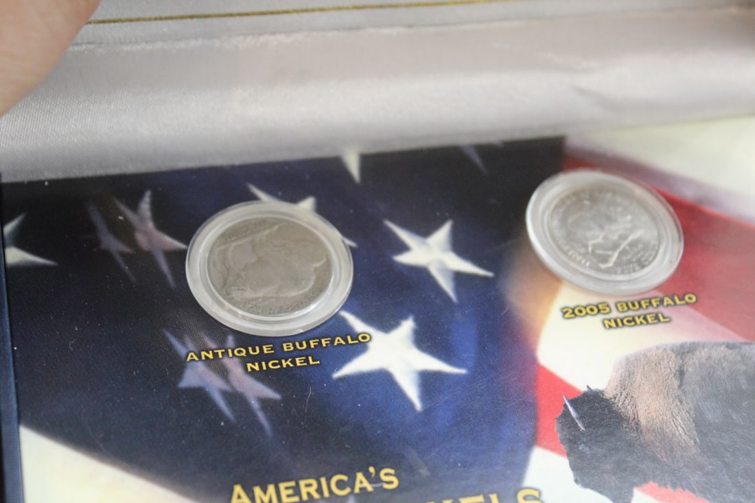 American Buffalo Two Nickels Coin Set - 2