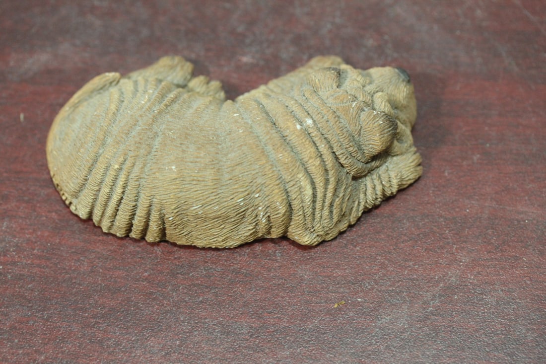 A Composite Material Sandicast Dog - 3