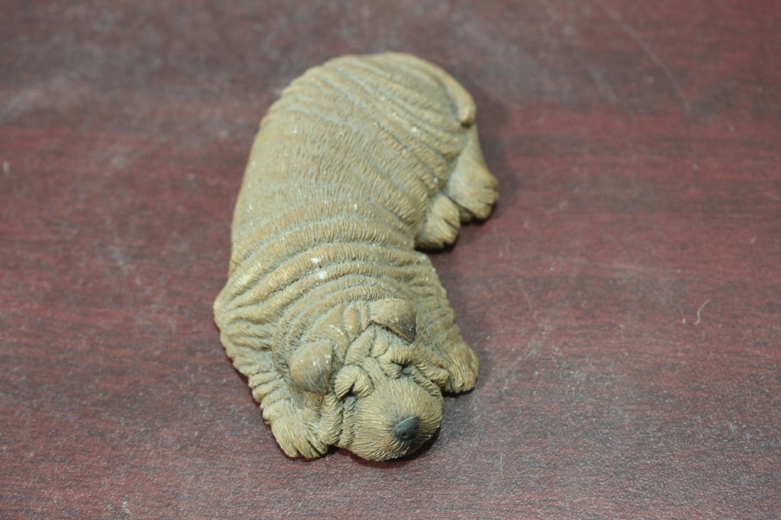 A Composite Material Sandicast Dog - 4