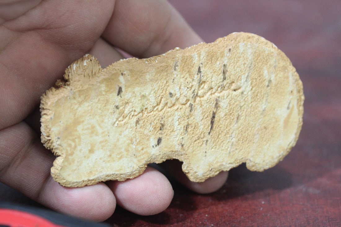 A Composite Material Sandicast Dog - 6