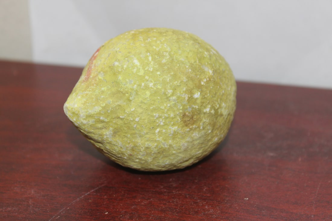 A Real Size Stone Lemon - 3